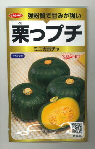 ڂ Iv` 25 ()TJ^̃^l RRO