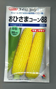 �Ƃ����낱�� ���Ђ��܃R�[��88 200�� �^�L�C��c(��) [��q/���]