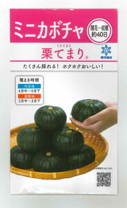 ڂ IĂ܂ 8ml(悻16) c()