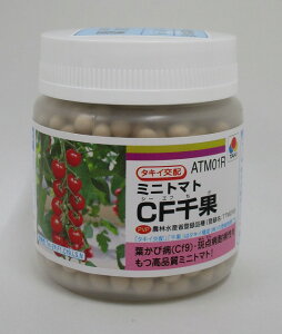 �~�j�g�}�g CF��� �y���b�g 2L 1000�� �^�L�C��c(��) [��q/���]