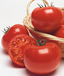 ��ʃg�}�g �����Y�O�����f �y���b�g1000�� �^�L�C��c(��) [��q/���]