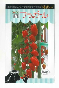 ~jg}g tK[ 100 gL^c()