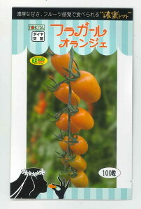 ~jg}g tK[IWF 100 gL^c()