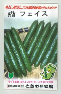 イ tFCX 350 ()Ƃ팤