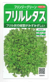 レタスフリンジーグリーン（フリルレタス）およそ1175粒　（株）サカタのタネ　実咲300