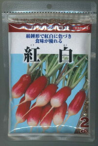 卪 ͂ g 2dl ()TJ^̃^l