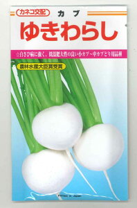 かぶ ゆきわらし 2.3ml カネコ種苗(株)