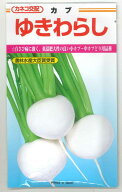 かぶ ゆきわらし 20ml カネコ種苗（株） [種子/野菜]
