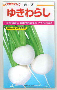 かぶ ゆきわらし 20ml カネコ種苗(株)