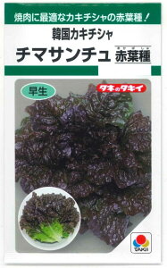 ^X ؍JL`V `}T`ԗt 20ml ^LCc()