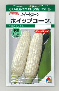 �Ƃ����낱�� �z�C�b�v�R�[�� 40�� �^�L�C��c(��) GF [��q/���]