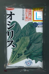 ق񂻂 IVX LTCYq 2@ijTJ^̃^l