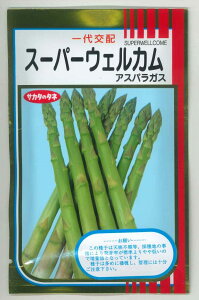 �A�X�p���K�X �X�[�p�[�E�F���J�� 20ml (��)�T�J�^�̃^�l [��q/���]