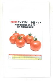 トマト　中玉トマトTYマリオ9粒　小林種苗