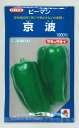 ピーマン 京波 1000粒 タキイ種苗(株) [種子/野菜]
