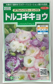 花の種 トルコギキョウ　ダブルバイカラー ミックス　約45粒　（株）サカタのタネ 実咲