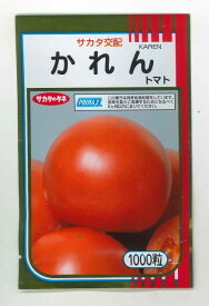 トマト　かれん1000粒　（株）サカタのタネ