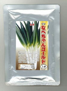 ˂ ȂׂS[hKiqj 1dl gL^c()