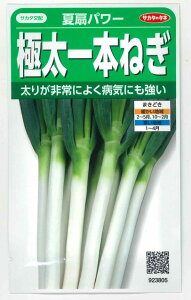 ˂ Đp[ 3ml(ڈ悻500) ()TJ^̃^l 450i101526j
