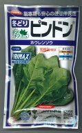 ほうれんそう ピンドン 100ml (約4000粒)(株)サカタのタネ 実咲PRO1200(101863) [種子/野菜]