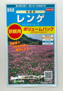 Ԃ̎ Q _p 3ėp ()TJ^̃^l i026181j