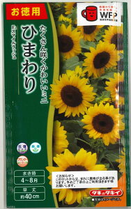 Ԃ̎ ppbN ~jЂ܂ X}CbV ^LCc()