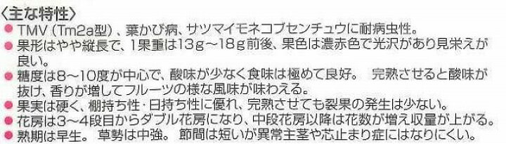 楽天市場 トマト ミニトマトまゆか 18粒松永種苗 グリーンロフトネモト