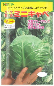 Lxc ~jLx 20ml gL^c()