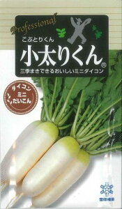 卪@~j卪肭@500cij
