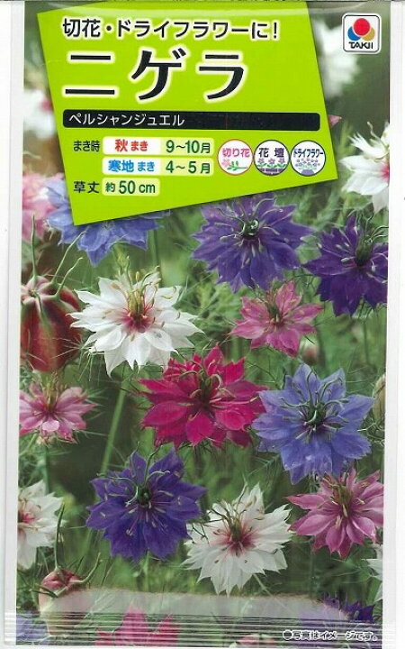 楽天市場 花の種 ニゲラペルシャンジュエル 1 5mlタキイ種苗 グリーンロフトネモト