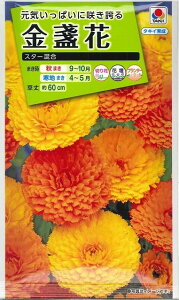 �Ԃ̎� ��ᵉ� �X�^�[���� 5ml �^�L�C��c(��)