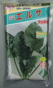 ق񂻂 GT 3iqTCYMj gL^c()