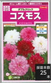 花の種コスモス　ダブルクリック約36粒　（株）サカタのタネ 実咲