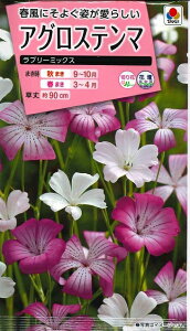 Ԃ̎ AOXe} u[~bNX ^LCc()