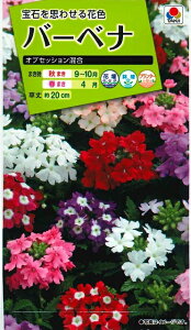 �Ԃ̎� �o�[�x�i �I�u�Z�b�V���� �^�L�C��c(��)