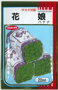 nii Ԗ 20ml ()TJ^̃^l