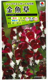 楽天市場 金魚草の花のの通販