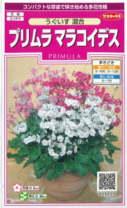 Ԃ̎ v }RCfX  215 ()TJ^̃^l i026157j