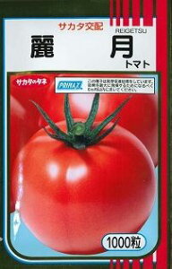 ��ʃg�}�g �팎 1000�� (��)�T�J�^�̃^�l [��q/���]