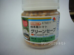 (g}gp)O[Z[u 2L ybgq 1000 ^LCc()