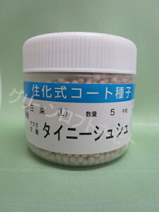 ���� �^�C�j�[�V���V�� �y���b�g5000�� (��)�T�J�^�̃^�l [��q/���]