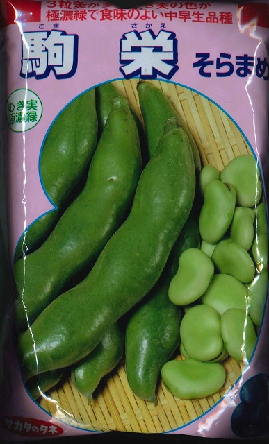 3粒莢が多く むき実の色が極濃緑で食味の良い中早生種 販売 1Lサカタのタネ 保障 そら豆駒栄
