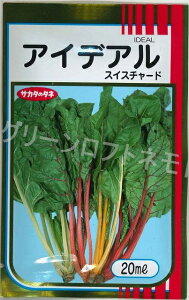 ACfA(XCX`[h) 20ml ()TJ^̃^l