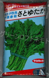 中葉春菊 さとゆたか 1L (株)サカタのタネ