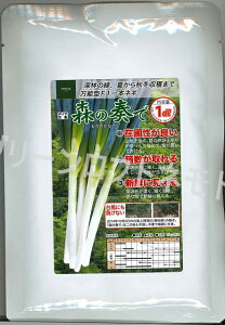 ˂ X̑tŁiqj 1dl gL^c()