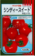 中玉トマト シンディースイート 1000粒 (株)サカタのタネ [種子/野菜]