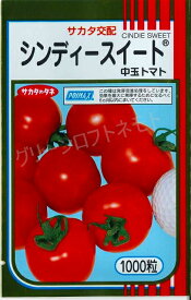 トマト　中玉トマトシンディースイート1000粒サカタのタネ