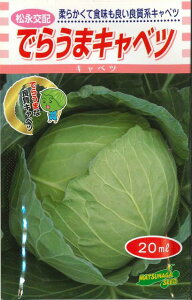 キャベツ でらうまキャベツ 20ml 松永種苗(株)