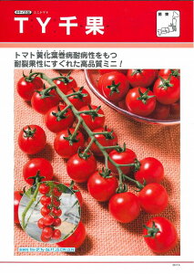 �~�j�g�}�g TY��� �y���b�g 2L 1000�� �^�L�C��c(��) [��q/���]