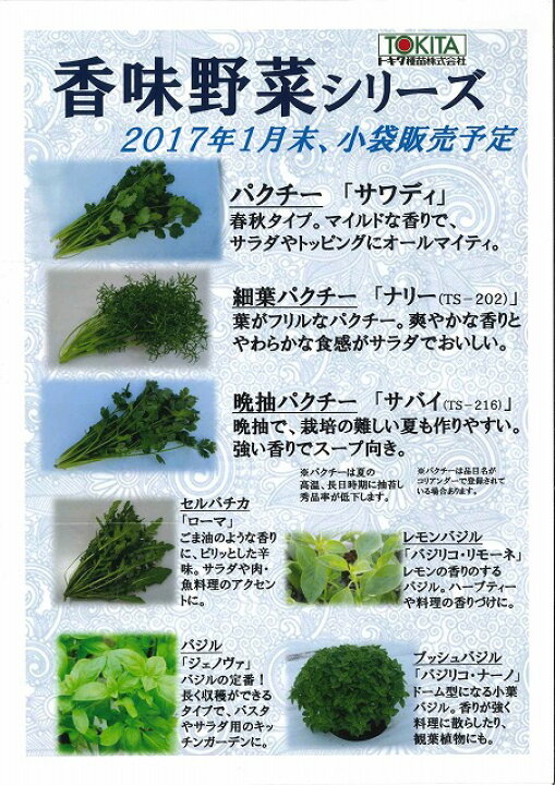 楽天市場 ハーブ種 コリアンダーサバイパクチー 10ｍｌ トキタ種苗 グリーンロフトネモト